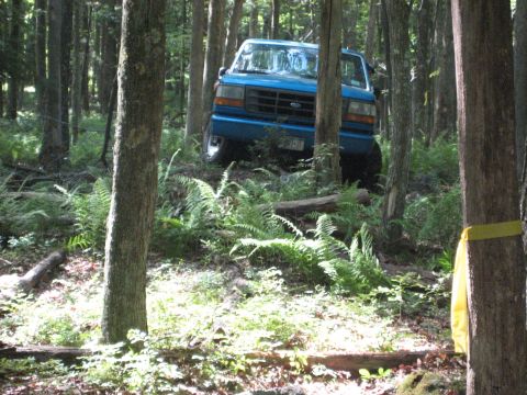 1991 Ford Bronco - A blue 1991 Ford Bronco navigates a wooded trail with dense foliage.