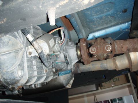 1996 Ford Bronco - Vehicle's driveshaft and transmission components are visible from underneath.