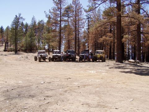 1967 Ford Bronco - A group of modified off-road vehicles are gathered in a wooded area.