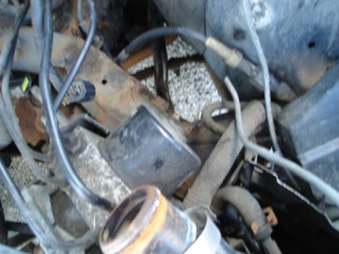 1992 Ford Crown Victoria - Close-up view of engine bay components, including hoses and wiring harnesses.
