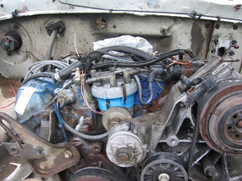 1974 Ford F-100 - Close-up view of a V8 engine, showing the distributor, belts, and various hoses and wires.