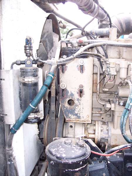 1981 Kenworth W900A - Engine compartment details with various hoses, belts, and engine components visible.