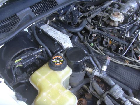 1997 Ford Crown Victoria - Engine bay details of a 1997 Ford Crown Victoria, showing the coolant reservoir and engine components.