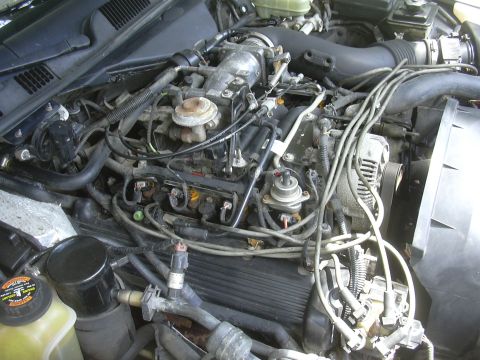 1997 Ford Crown Victoria - Engine bay view of a 1997 Ford Crown Victoria, showing the fuel injection system and alternator.
