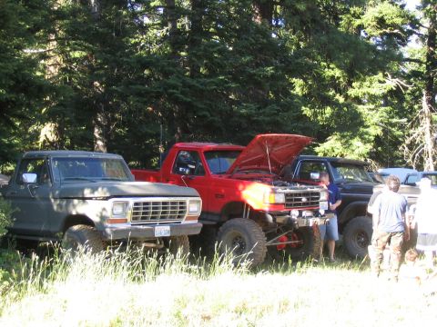 1979 Ford Bronco - Three pickup trucks, including a 1979 Ford F-150, are parked outdoors near trees.