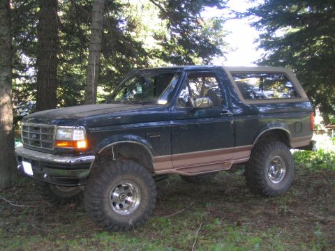 1979 Ford Bronco - This dark green SUV, tan trim and oversized tires, is parked amidst trees in a natural setting.