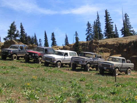 1979 Ford Bronco - A convoy of classic Ford Broncos and pickup trucks gathered for an off-road adventure on a sunny day.