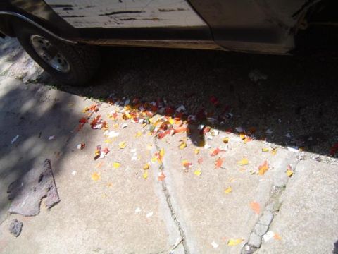 1979 Ford Bronco - Colorful fragments litter the ground beneath the side of a dark-colored vehicle.