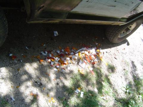 1979 Ford Bronco - Debris from shattered vehicle lights litters the ground next to a car's wheel and lower body.