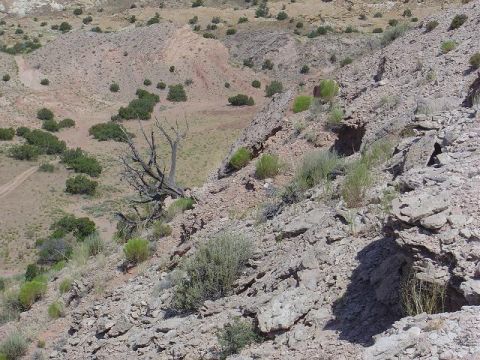 1986 Ford Bronco II - A dry, arid landscape with a winding dirt road visible in the background.