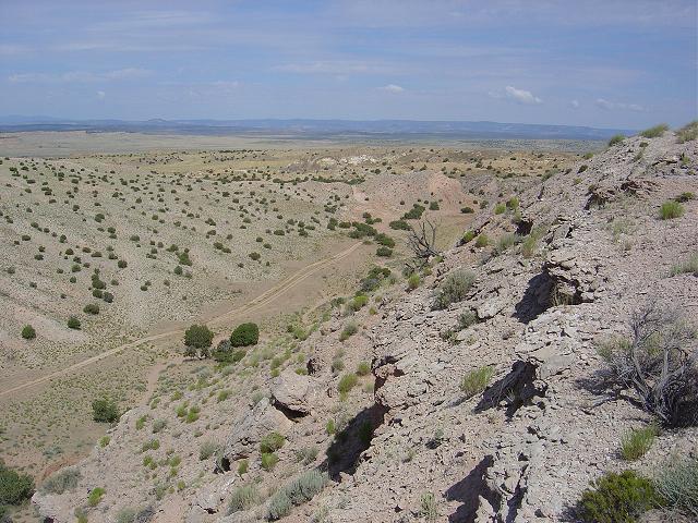 Desert landscape with sparse vegetation and a winding dirt road under a cloudy sky