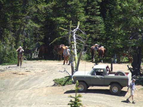 1979 Ford Bronco - Cowboys and horses gather near a 1979 Ford F-150 pickup truck in a forest setting.