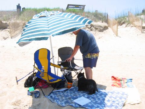 1985 Ford LTD Crown Victoria - A person stands near beach chairs and a dog under a striped umbrella on a sandy beach.