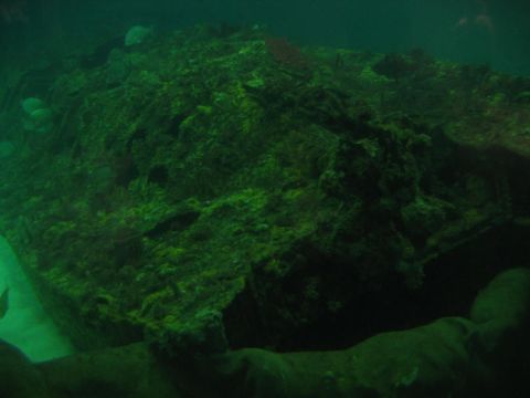 1985 Ford LTD Crown Victoria - Submerged debris, possibly a shipwreck, overgrown with algae and inhabited by fish.