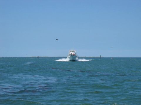 1985 Ford LTD Crown Victoria - A boat travels across the water on a sunny day.