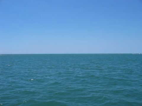 1985 Ford LTD Crown Victoria - Horizon line divides the deep blue sea from the bright blue sky on a clear day.