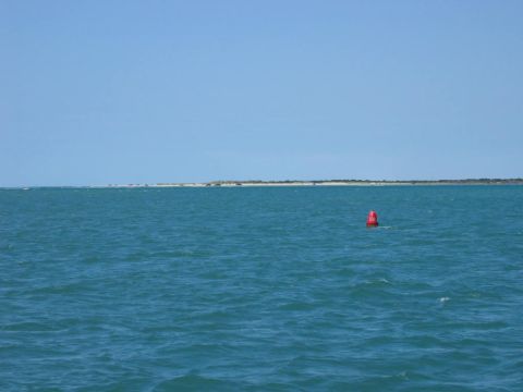 1985 Ford LTD Crown Victoria - A solitary red buoy floats in the vast blue ocean, marking the water near a distant, thin strip of land.
