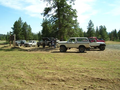 1989 Ford Bronco - A white SUV with a silver stripe is parked in a grassy area with other vehicles and trees.