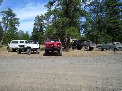 1989 Ford Bronco - A group of off-road vehicles are parked on a dirt road in a wooded area under a blue sky.