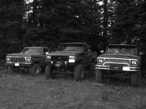 1989 Ford Bronco - Three trucks are parked in a grassy area with trees in the background.