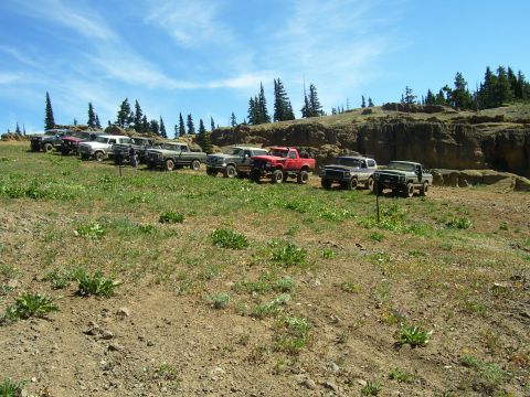 1989 Ford Bronco - A group of vintage Ford Bronco and F-Series trucks are parked on a grassy hillside under a blue sky.