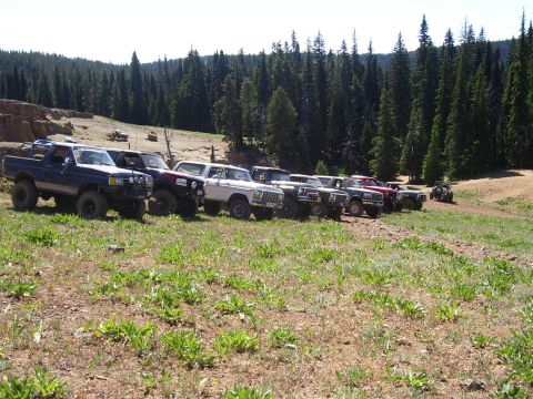 1989 Ford Bronco - Several off-road vehicles are parked in a line on a hillside, with a dense forest visible behind them.