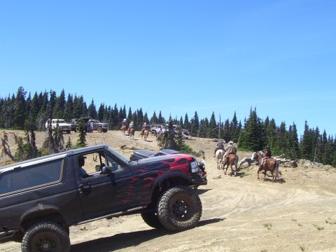 1989 Ford Bronco - Several off-road vehicles and horseback riders gather on a dirt trail surrounded by pine trees under a clear blue sky.