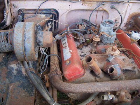 1955 Ford Customline - The engine bay of a 1955 Ford Customline shows a V8 engine with a carburetor and air cleaner, indicating significant rust and disrepair.