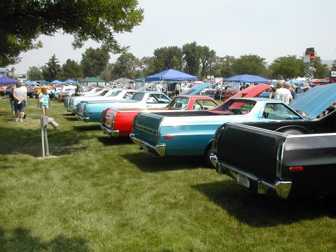1972 Ford Ranchero - Several Ford Rancheros are lined up on a grassy field, with people milling around in the background.