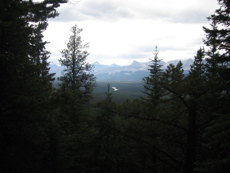 Forest view of mountains and a winding river under a cloudy sky
