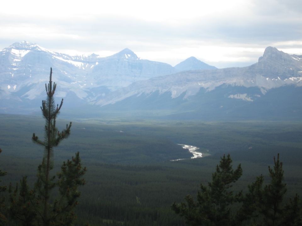 Forested valley and braided river below snow-streaked limestone mountain peaks
