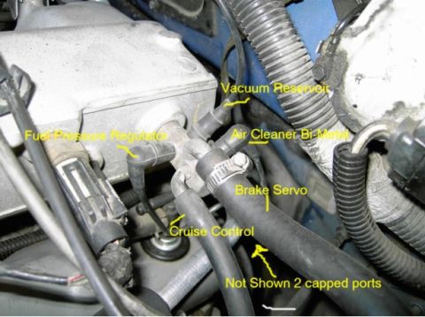 1996 Ford Explorer - Close-up view of engine components including the fuel pressure regulator and brake servo, with various vacuum lines labeled.