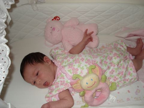 2000 Ford Crown Victoria - Baby in a crib with stuffed animals, including a pink bear and a butterfly rattle.