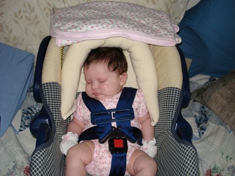 2000 Ford Crown Victoria - A baby sleeps soundly in a car seat, secured by a blue harness.