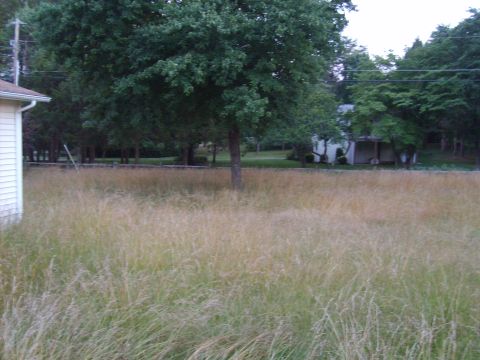 2004 Ford Crown Victoria - A residential area with a large, unkempt field in the foreground.