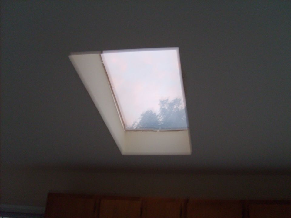 Skylight with trees visible through the glass