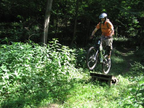 1997 Ford Probe - A mountain biker performs a jump over a wooden obstacle on a wooded trail.