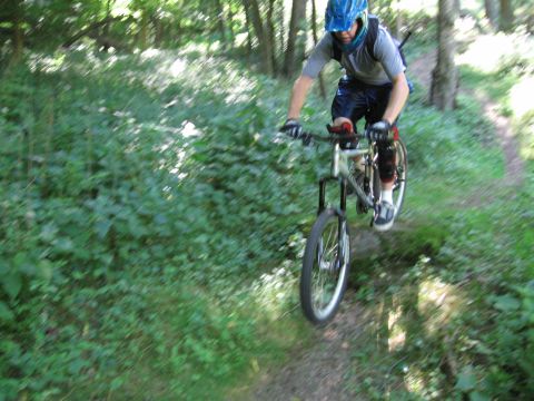 1997 Ford Probe - Mountain biker navigates a wooded trail, kicking up dust on the path.