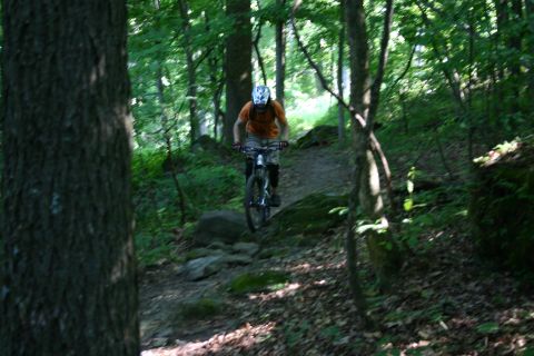 1997 Ford Probe - A person rides a mountain bike through a forest trail with rocks and trees.