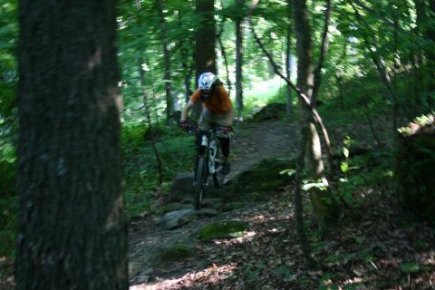 1997 Ford Probe - A person rides a mountain bike through a wooded area with trees and rocks on the path.