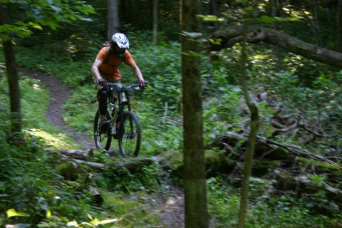 1997 Ford Probe - A mountain biker navigates a winding trail through a dense forest, surrounded by lush greenery.
