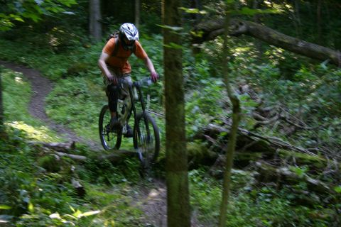 1997 Ford Probe - Rider navigates a wooded trail on a mountain bike.