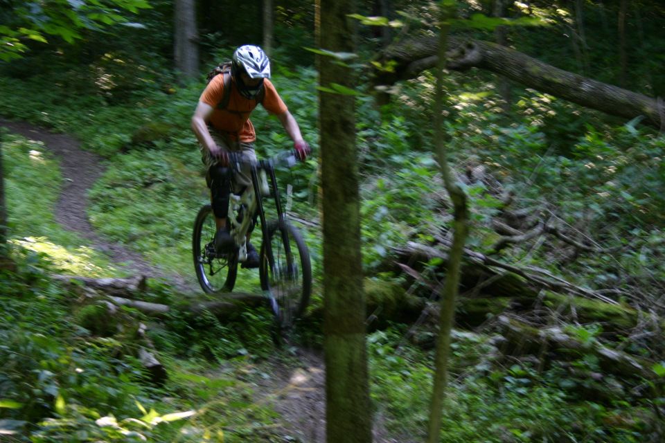 Mountain biker wearing a helmet and orange shirt riding a bicycle on a dirt trail through a forest