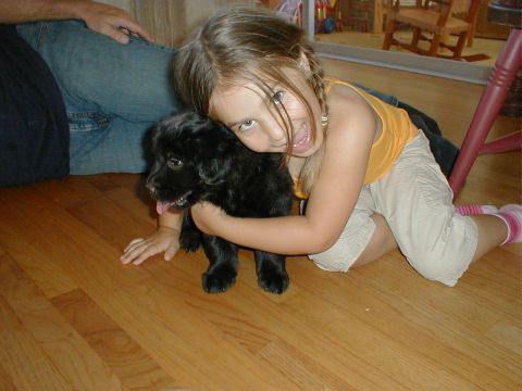 1996 Ford Bronco - A young girl joyfully embraces a small black puppy while kneeling on a polished wooden floor.