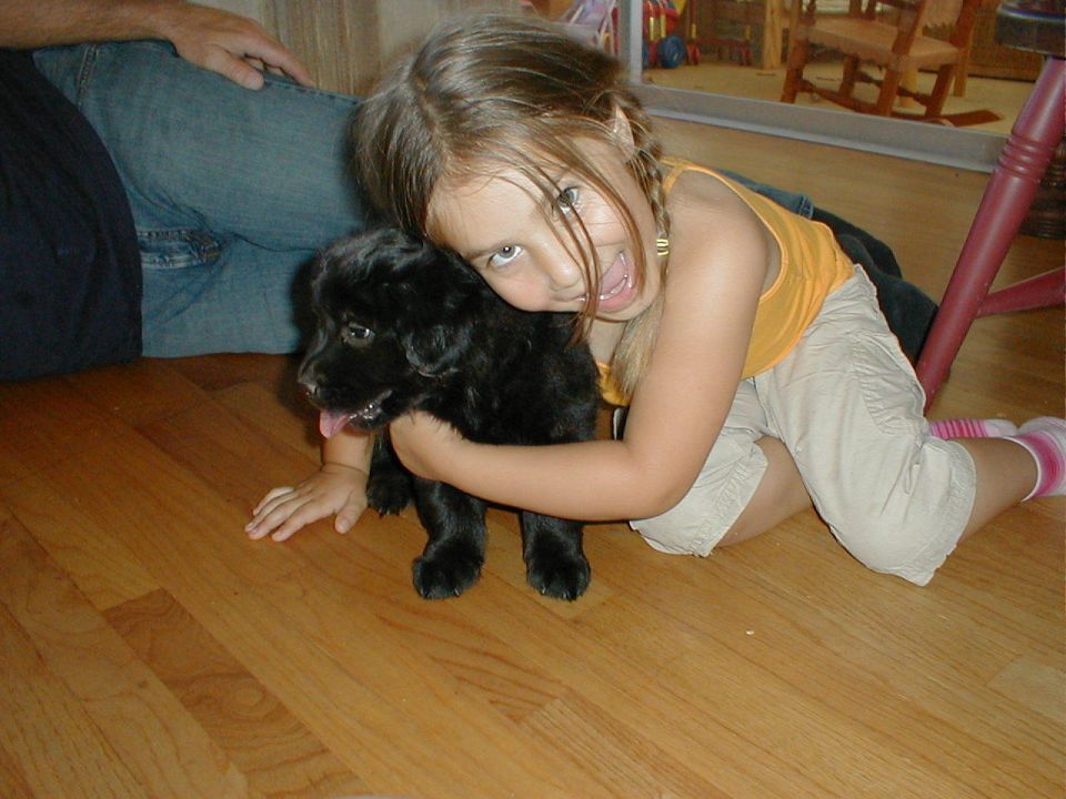 Girl in orange tank top and tan shorts hugs a black puppy on a wooden floor