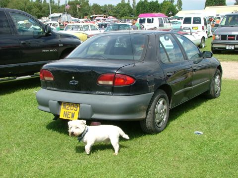2001 Ford Fiesta - A black Chevrolet sedan is parked on grass with a white dog in front of its rear bumper.