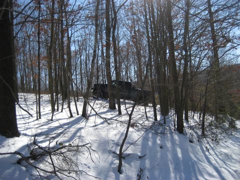 1991 Ford Bronco - A black SUV navigates a snow-covered path amidst trees.
