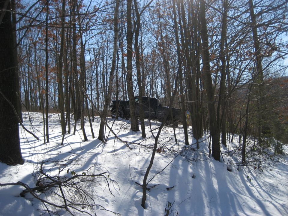 Black SUV driving through snowy woods