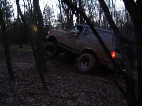 1991 Ford Bronco - A brown 1991 Ford Bronco navigates a wooded trail, its tires kicking up dirt.