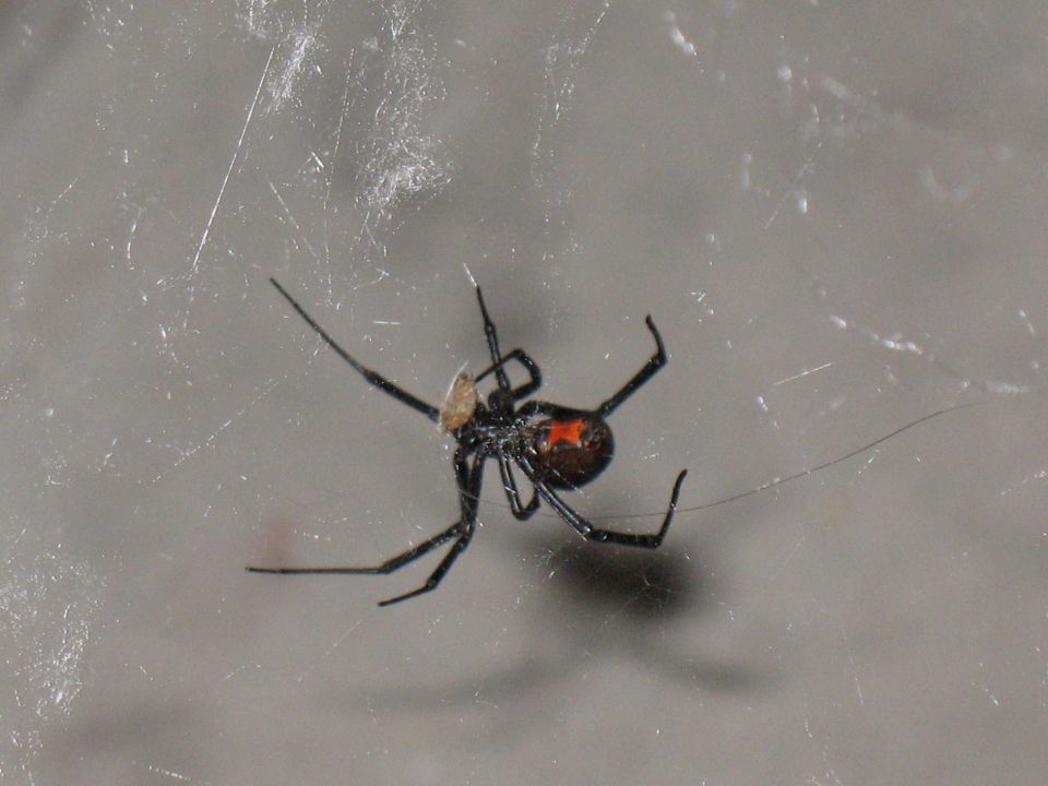 this when I went to have a smoke outside the front door